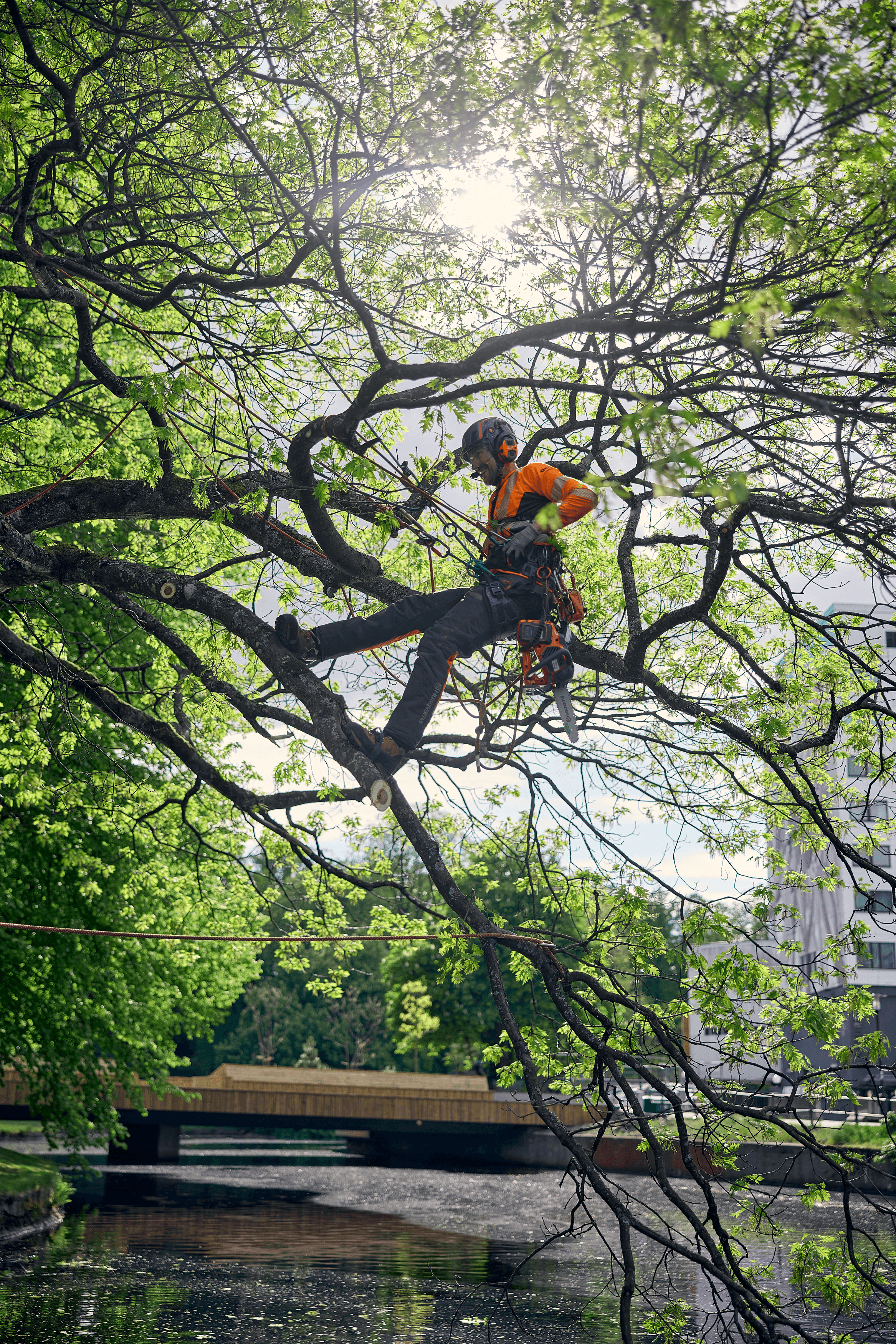 Climbing Harness image 5